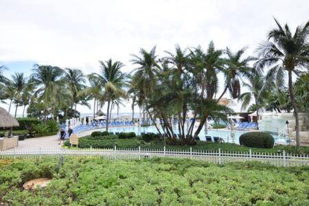 מיאמי The Palms, Ocean View Studio Located At Ritz Carlton - Key Biscayne מראה חיצוני תמונה