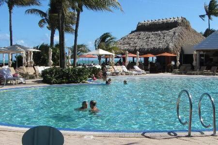 מיאמי The Palms, Ocean View Studio Located At Ritz Carlton - Key Biscayne מראה חיצוני תמונה